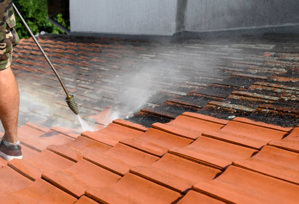 Deck Cleaning Services in Allardt, TN