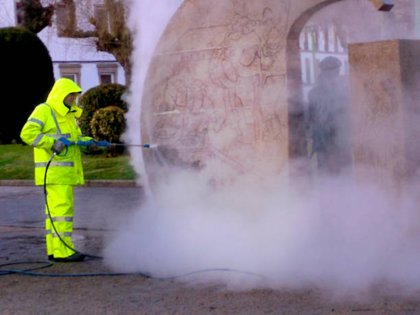 Best Exterior Home Cleaning  in Allardt, TN