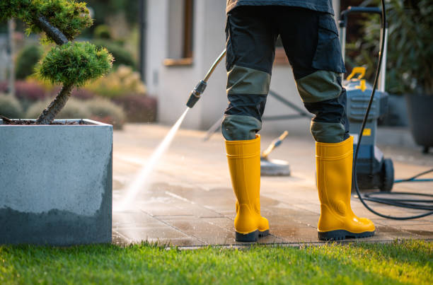 Best House Pressure Washing  in Allardt, TN